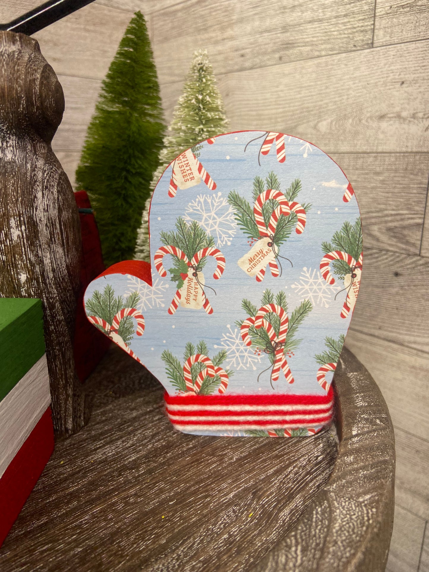 Winter Mitten