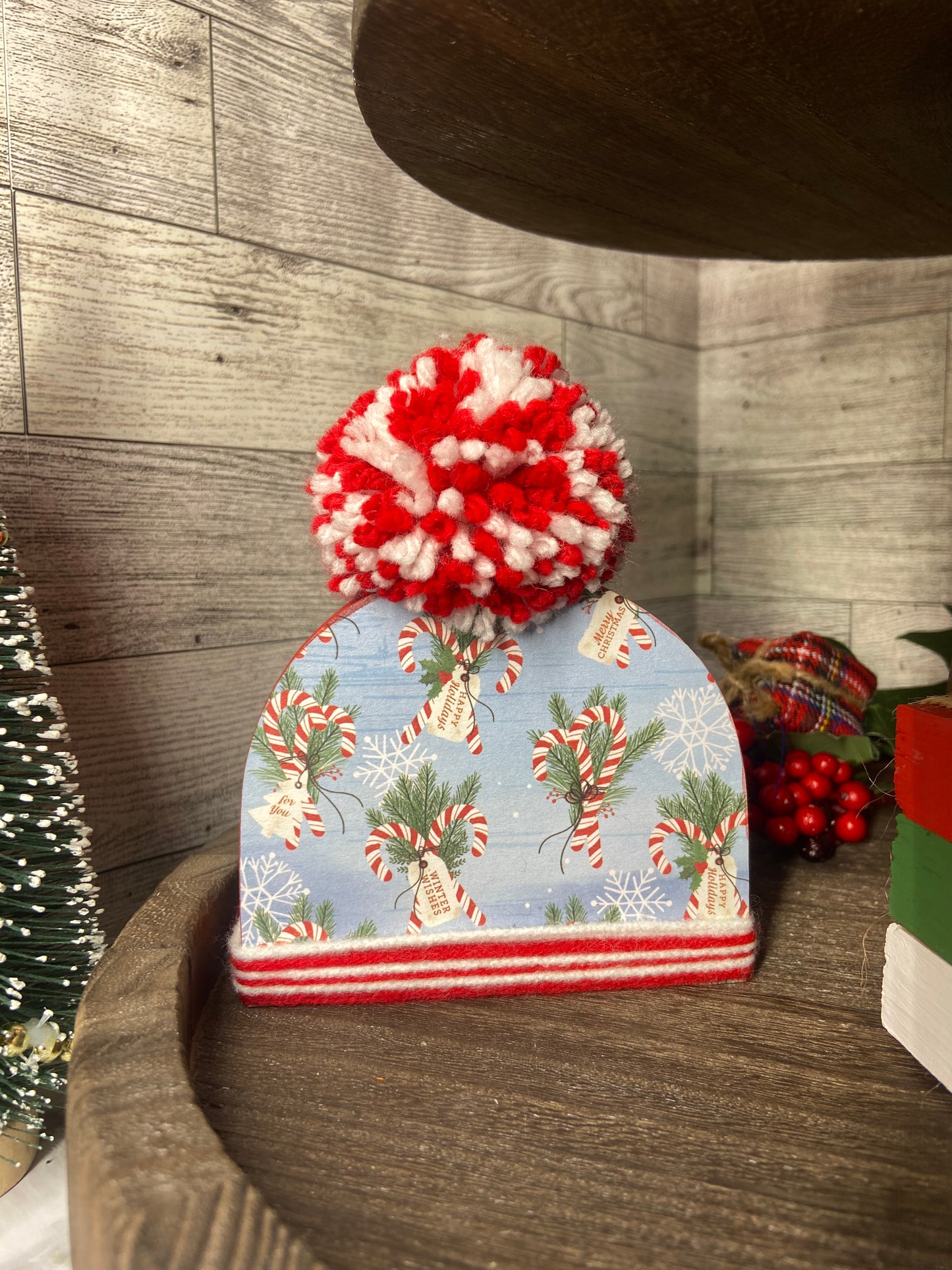 Winter Hat