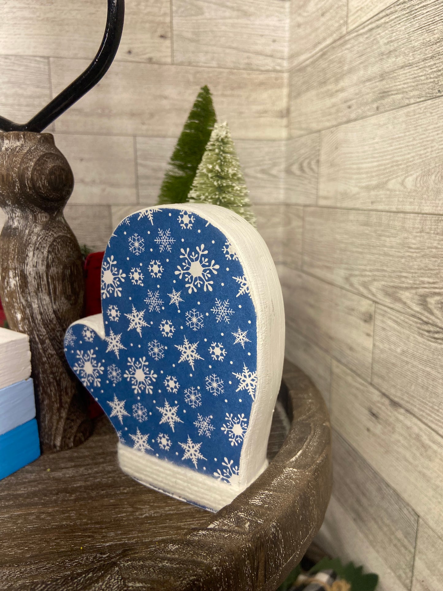 Winter Mitten