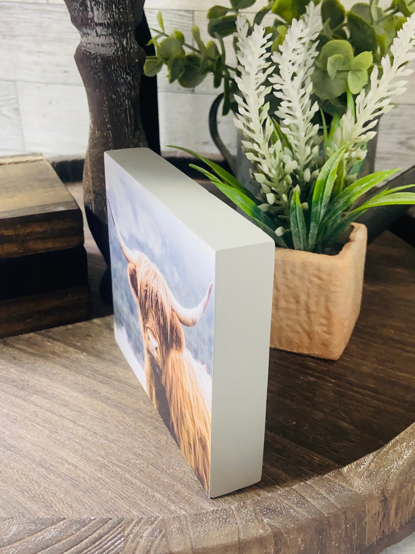 Highland Cow - Tiered Tray Sign