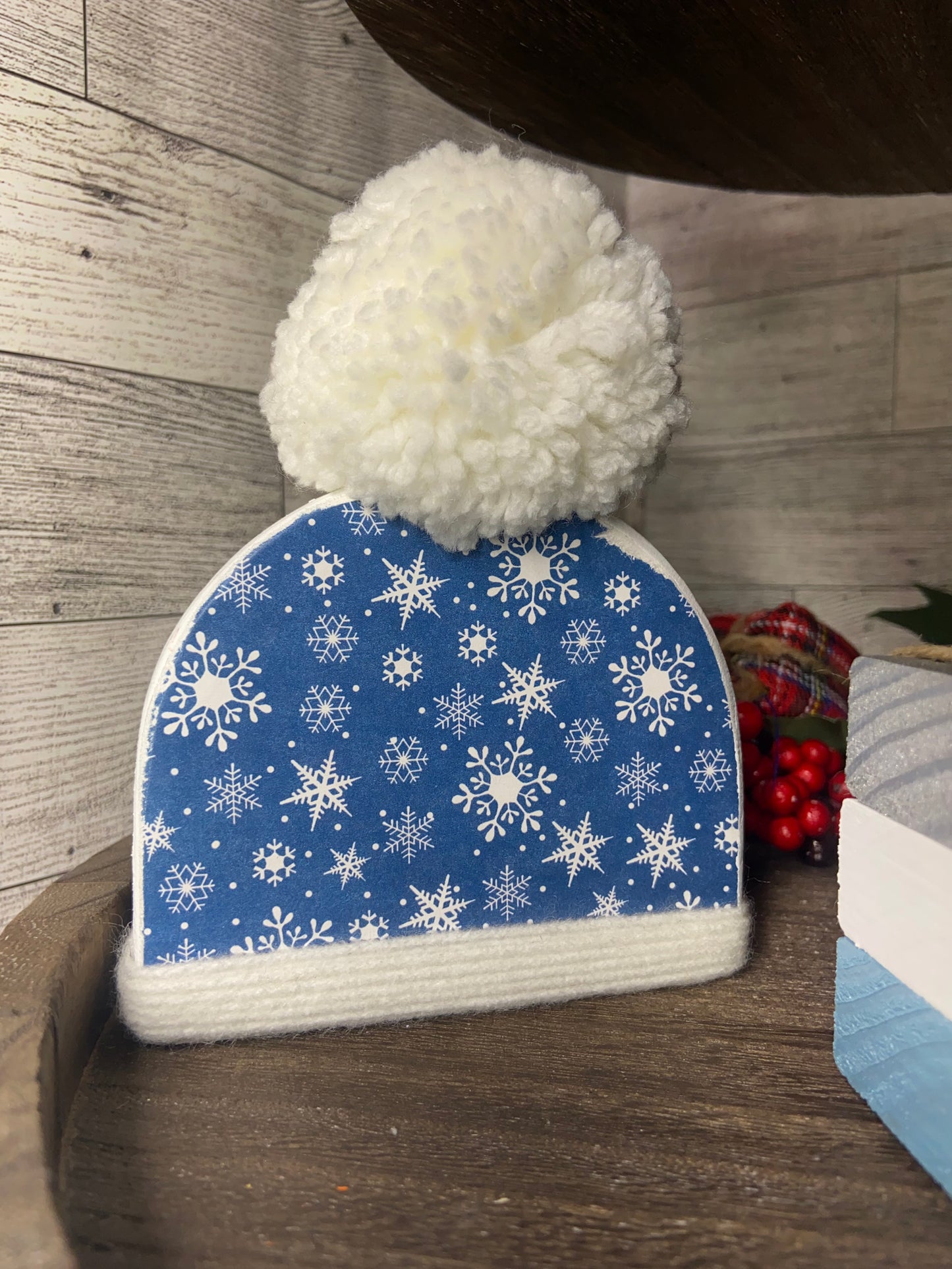 Winter Hat